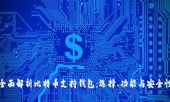 全面解析比特币支持钱包