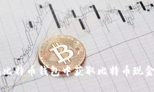 如何在比特币钱包中获取比特币现金（BCH）
