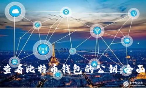 如何查看比特币钱包的公钥：全面指南