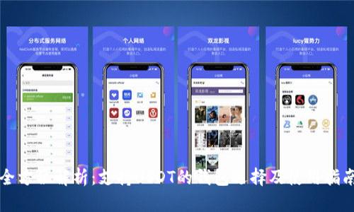 全方位解析：支持USDT的钱包选择及使用指南