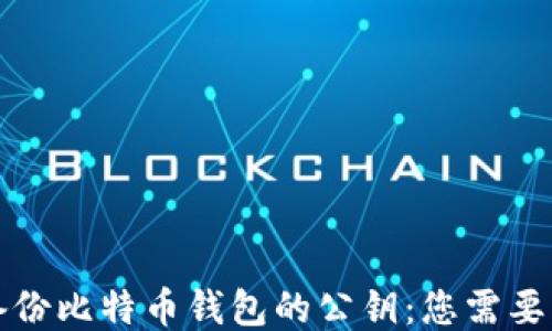 
如何安全备份比特币钱包的公钥：您需要知道的一切