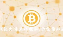 比特币钱包文件大小揭秘