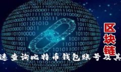 : 如何快速查询比特币钱包