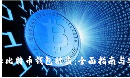 如何防止比特币钱包被盗：全面指南与安全策略