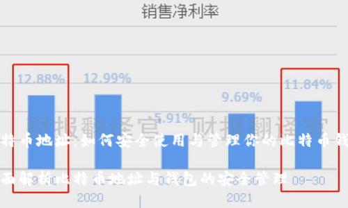 比特币地址：如何安全使用与管理你的比特币钱包

全面解析比特币地址与钱包的安全管理