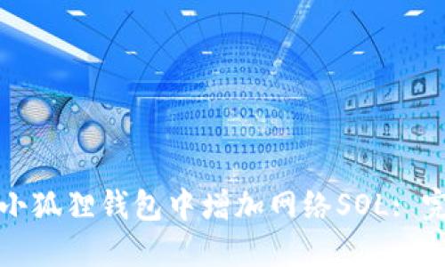 如何在小狐狸钱包中增加网络SOL: 完整指南