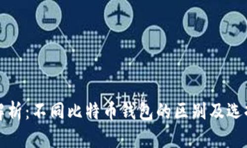 全面解析：不同比特币钱包的区别及选择指南