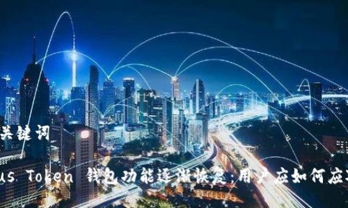 与关键词

Plus Token 钱包功能逐渐恢复：用户应如何应对？