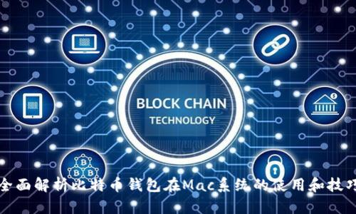 全面解析比特币钱包在Mac系统的使用和技巧
