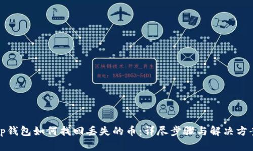 tp钱包如何找回丢失的币：详尽步骤与解决方案