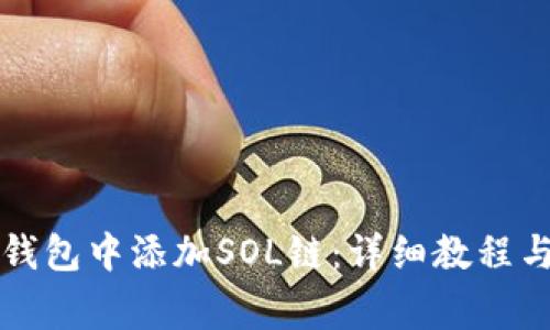如何在小狐狸钱包中添加SOL链：详细教程与常见问题解析