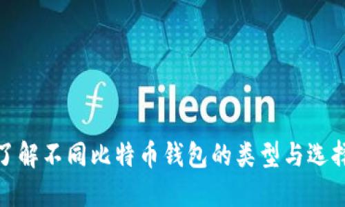 全面了解不同比特币钱包的类型与选择建议