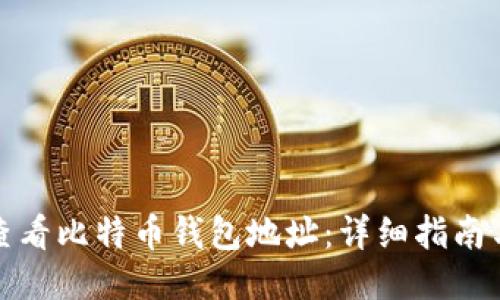 如何查看比特币钱包地址：详细指南与技巧