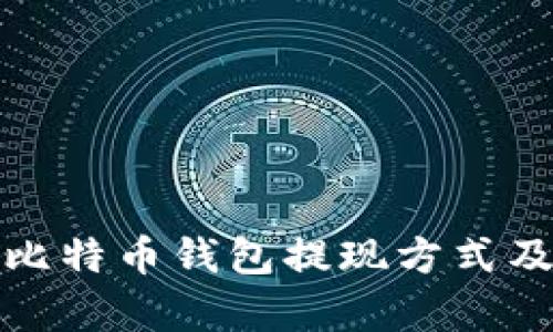全面解析比特币钱包提现方式及相关问题