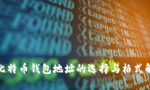 : 比特币钱包地址的选择与格式解析