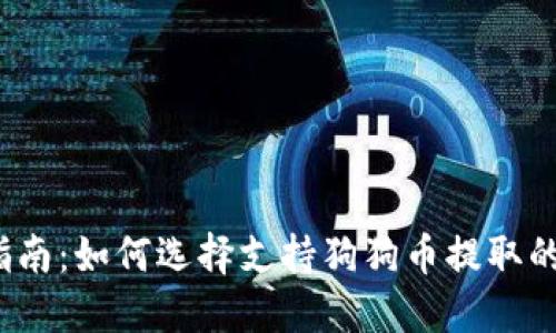 最全指南：如何选择支持狗狗币提取的钱包？