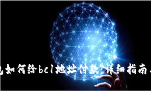 比特币钱包如何给bc1地址付款：详细指南与实用技巧