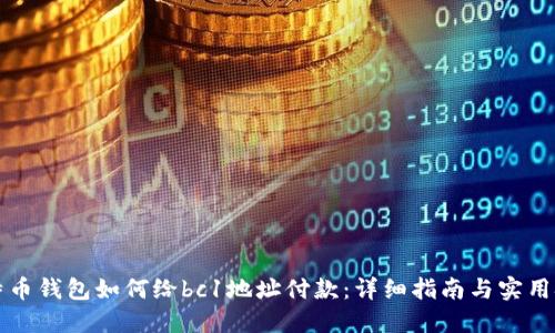 比特币钱包如何给bc1地址付款：详细指南与实用技巧