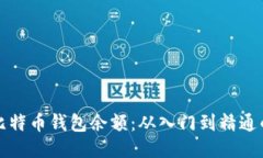 如何管理比特币钱包余额