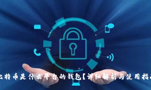 比特币是什么平台的钱包？详细解析与使用指南