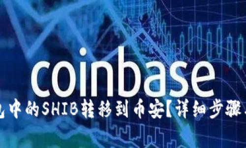 如何将钱包中的SHIB转移到币安？详细步骤与注意事项