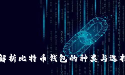 全面解析比特币钱包的种类与选择指南