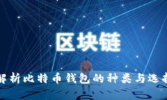 全面解析比特币钱包的种