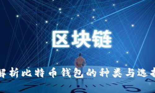 全面解析比特币钱包的种类与选择指南
