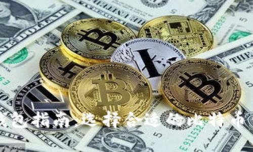 比特币钱包指南：选择合适的比特币钱包类型