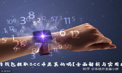比特钱包提取BCC币是真的吗？全面解析与实用指南