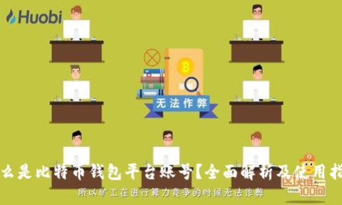 什么是比特币钱包平台账号？全面解析及使用指南