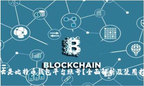 什么是比特币钱包平台账号？全面解析及使用指南