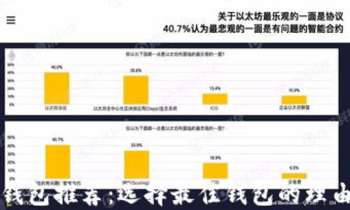 
以太坊钱包推荐：选择最佳钱包的理由与比较