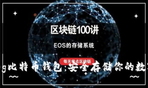 : 250g比特币钱包：安全存储你的数字资产
