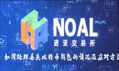 : 如何处理丢失比特币钱包