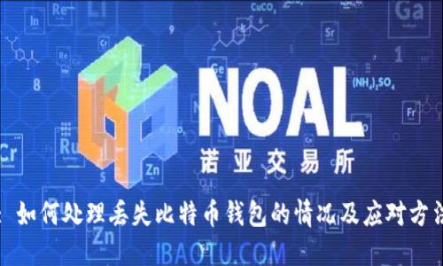 : 如何处理丢失比特币钱包的情况及应对方法