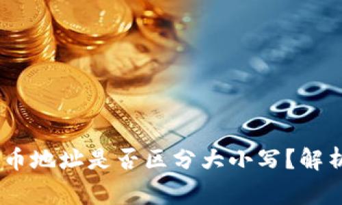 USDT钱包收币地址是否区分大小写？解析与注意事项