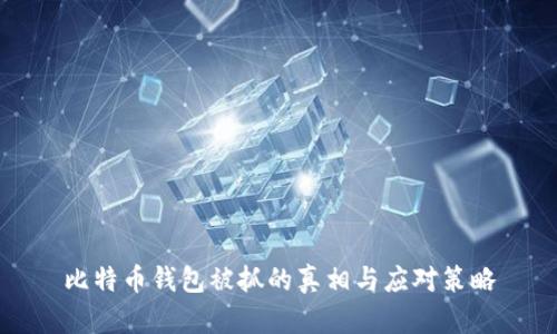 比特币钱包被抓的真相与应对策略