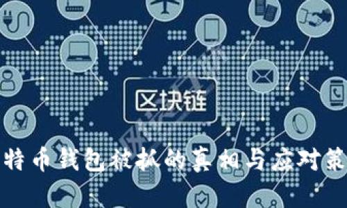 比特币钱包被抓的真相与应对策略