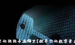   钱包里的狗狗币在哪里？