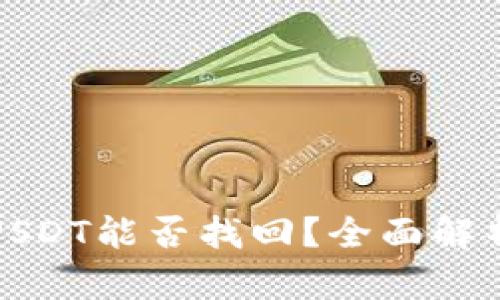 和关键词

TP钱包被盗USDT能否找回？全面解析与解决方案