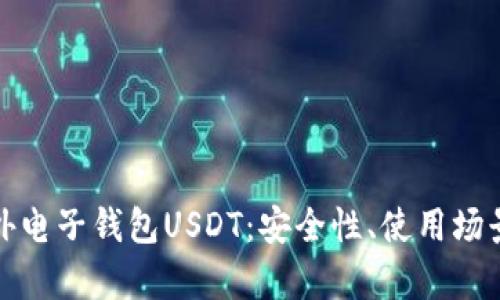 全面解析国外电子钱包USDT：安全性、使用场景与发展前景