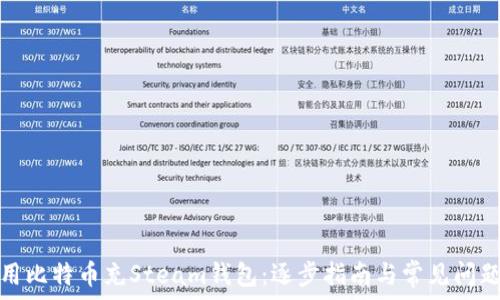   
如何用比特币充Steam钱包：逐步指南与常见问题解答