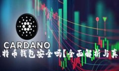 实体比特币钱包安全吗？