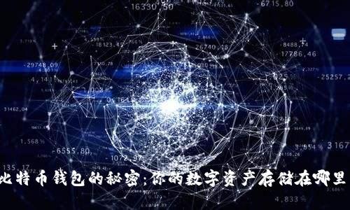 比特币钱包的秘密：你的数字资产存储在哪里？