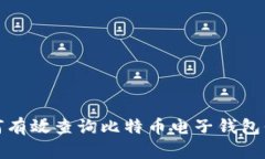 如何有效查询比特币电子