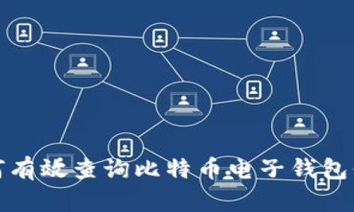 如何有效查询比特币电子钱包信息