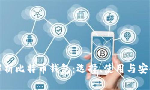 全面解析比特币钱包：选择、使用与安全指南