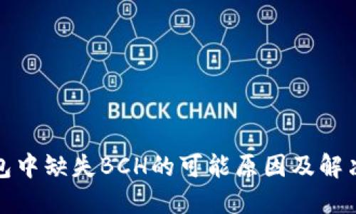 TP钱包中缺失BCH的可能原因及解决方案