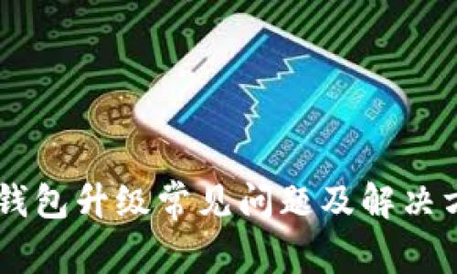 : USDT钱包升级常见问题及解决方案详解